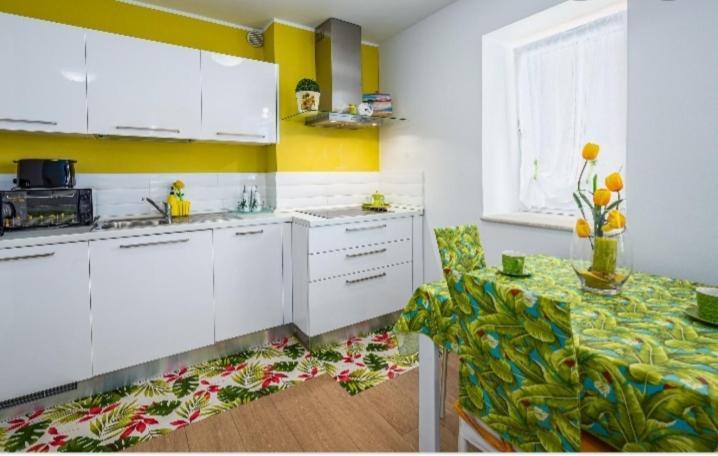 Green Day Novigrad Istria Dış mekan fotoğraf